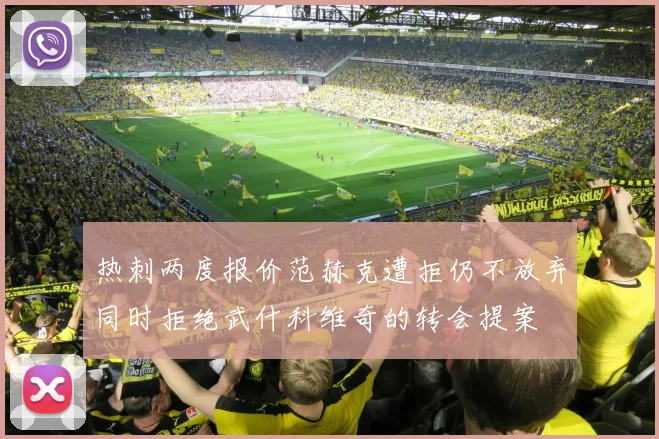 热刺两度报价范赫克遭拒仍不放弃同时拒绝武什科维奇的转会提案