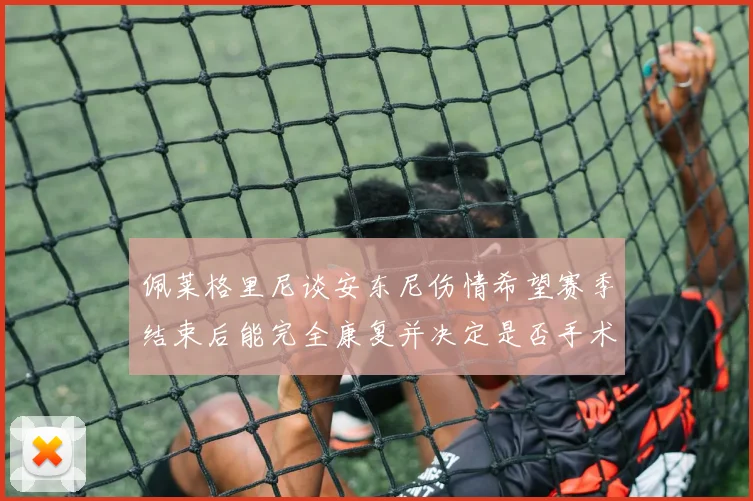 佩莱格里尼谈安东尼伤情希望赛季结束后能完全康复并决定是否手术