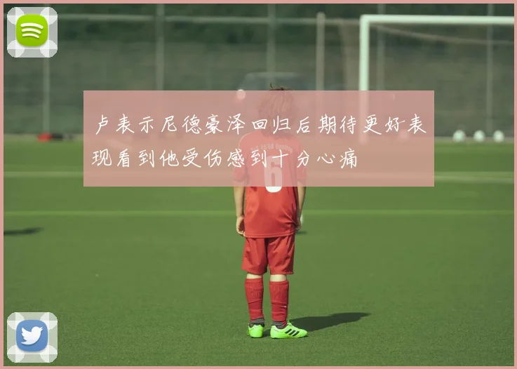 卢表示尼德豪泽回归后期待更好表现看到他受伤感到十分心痛