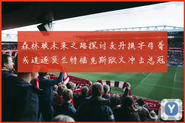 森林狼未来之路探讨麦丹换字母哥或追逐莫兰特福克斯欧文冲击总冠军